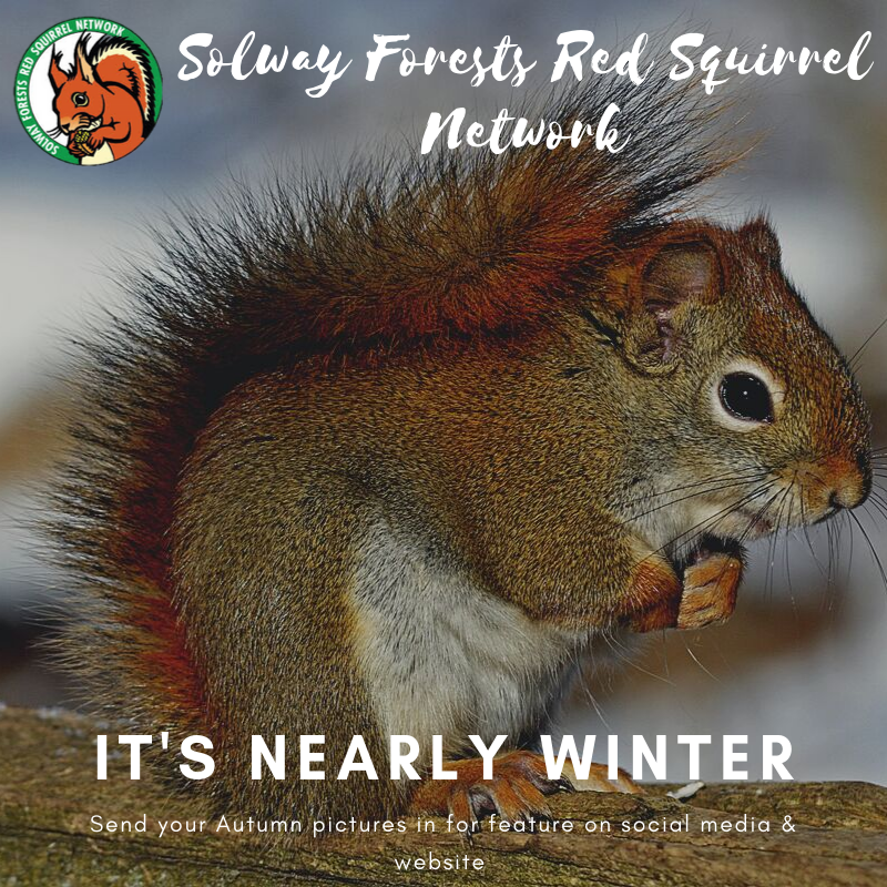 sfredsquirrel's tweet photo. https://t.co/gDm8HTB2f7