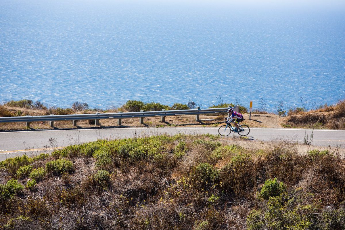 levisgranfondo's tweet photo. SIX DAYS.
.⠀
.⠀
.⠀
.⠀
.⠀
#LevisGranFondo is: #BIKEMONKEY #levileipheimer #sonomacounty #cycling #bicycling #roadbike #granfondo #cyclosportive #stravacycling #adventurebybike #outsideisfree #fromwhereiride #instabike #craftbeer #gooutside #outsideisfree #alwaysgo #roadriding https://t.co/TeRhYQZON1