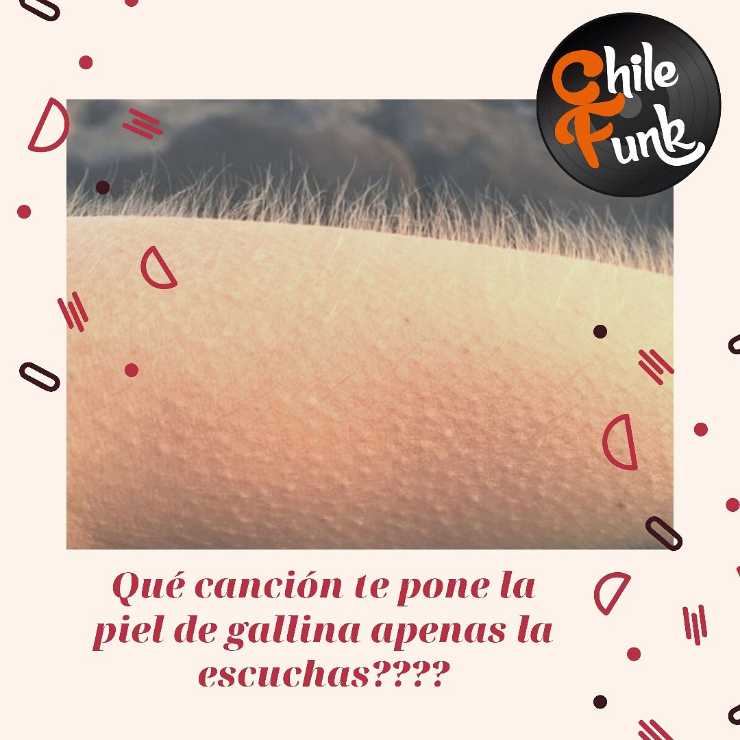 ChileFunk's tweet photo. Cuál es esa canción especial que te provoca tantas sensaciones con tan sólo escucharla????
Elige la que más te guste y cuéntanos!!!
#ChileFunk #BuenDomingo #FelizDomingo https://t.co/4EnP426OMW