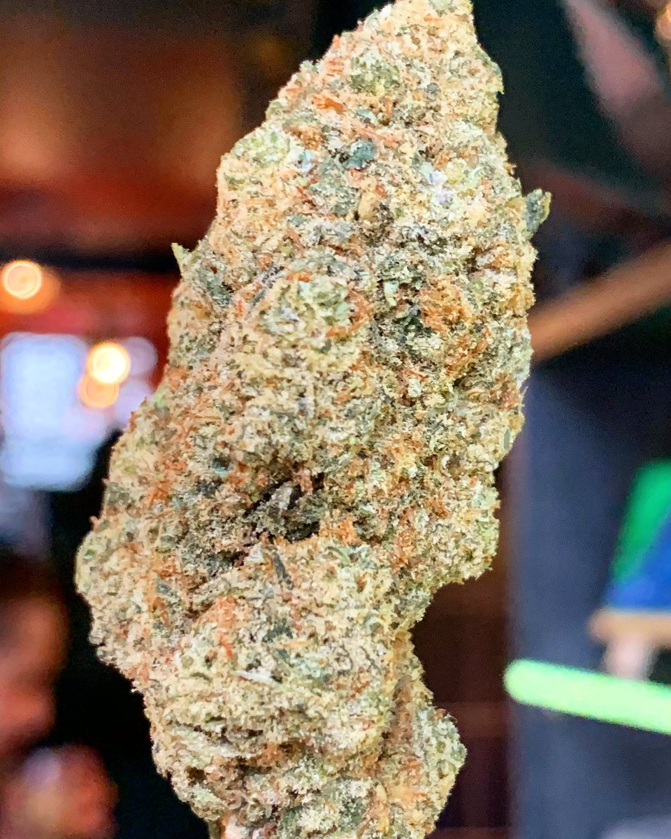 #MangoSaphire 🥭🥭🥭🥭🥭🥭

#Perfection #Packed #Loud #Trichomes #Terps #Dank #HighQuality #HighGrade #Haze4Breakfast #1eHulp #Amsterdam #StonersParadise #BestInTown
