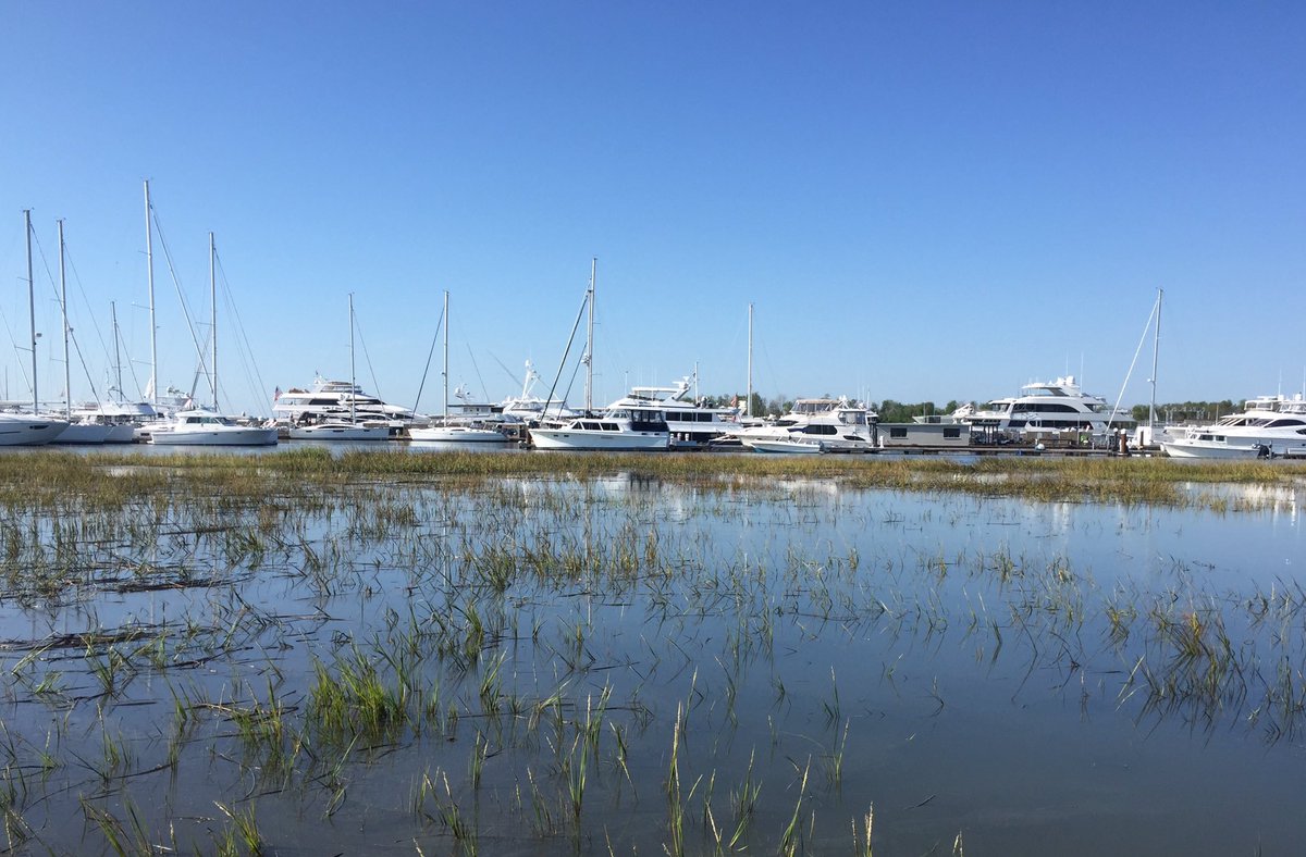 ChuckTownDaily's tweet photo. A blessed Sunday morning on the marina - Charleston Life #chswx #lifeinthewater #boating #Charleston #Sundaymorning #Lowcountry https://t.co/N5MzGSZBbc