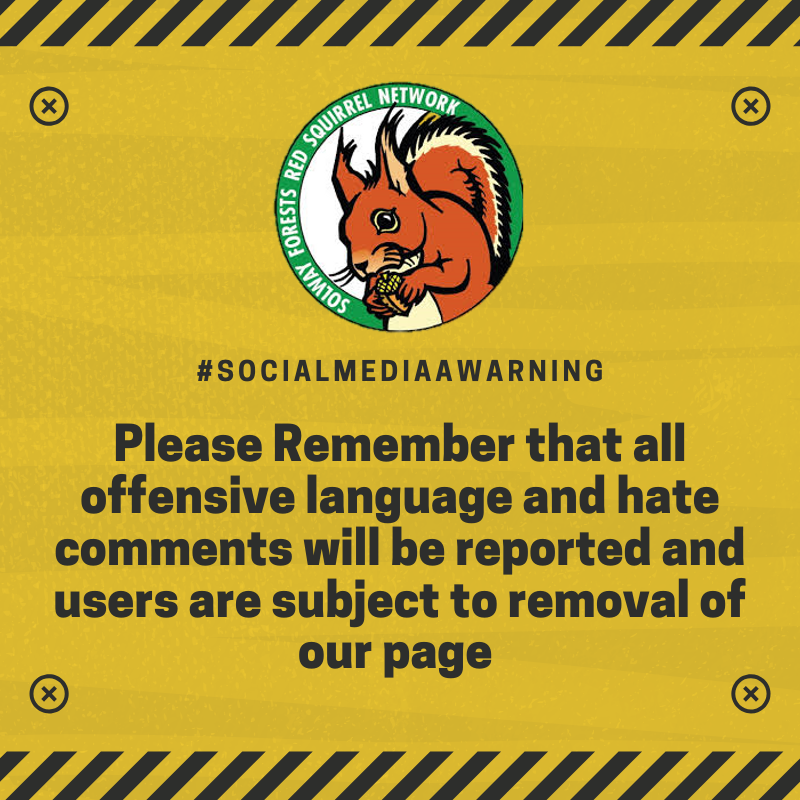sfredsquirrel's tweet photo. https://t.co/w9AXNanSN6