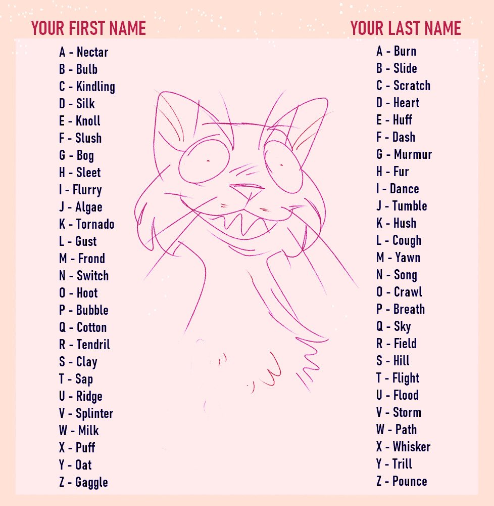 Warrior cat name generator who will you be?