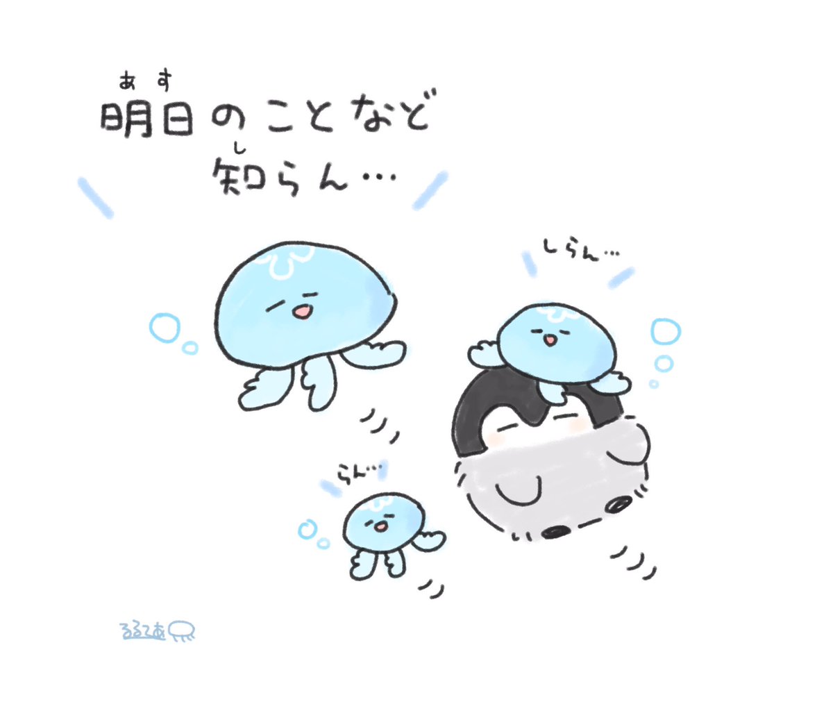 向こう見ズクラゲ 