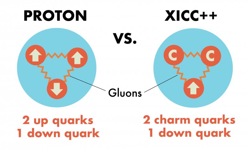charm quark charm quark