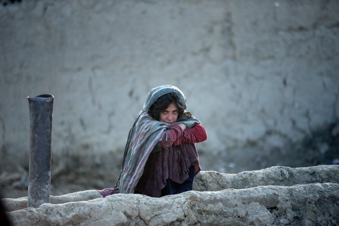 Sinan Oğan Mardin Gönüllüleri (@oangeliyor47) on Twitter photo 