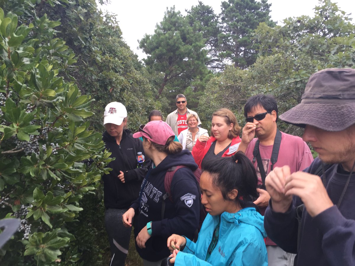 WalkNantucket's tweet photo. Come out to the Shawkemo Hills with Nantucket Walkabout on Monday afternoon to find out how the whalers made their candles smell so good. Book this hike at https://t.co/g5CwlfJ6CI. #shawkemohills #ackcoffee #peterbrace.com #sharethispost https://t.co/uMaU3BtCcx