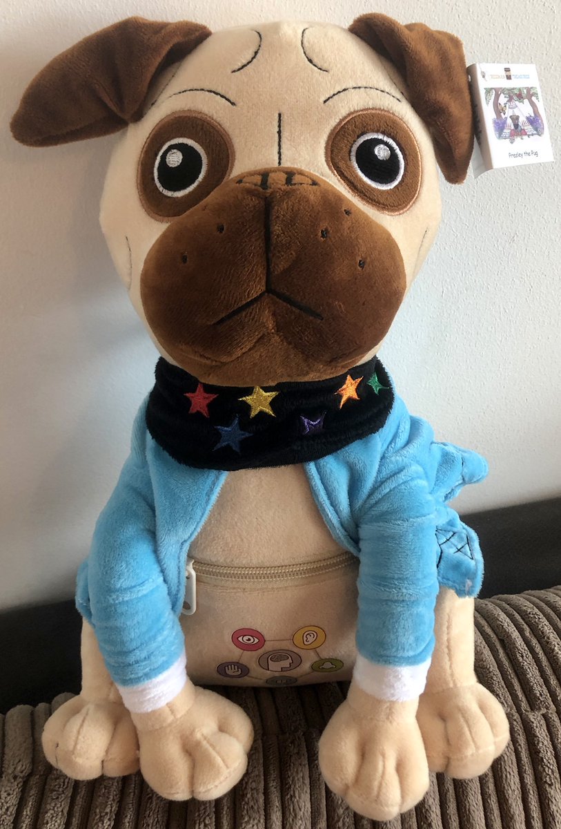 dr_treisman's tweet photo. Presley the Pug toy-OUT NOW. He focuses on the “safe place” activity, relaxation, &amp; emotional regulation. He has a zip pocket for hopes/worries/thoughts/multi-sensory things that make them feel safe, calm, happy etc. He supports children to have a brain break &amp; mindful moment. https://t.co/aLcB91VSET