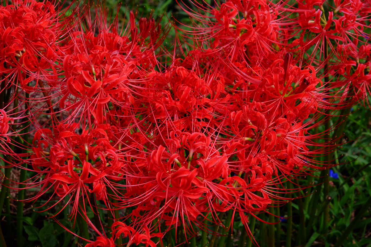 関西に帰りたい