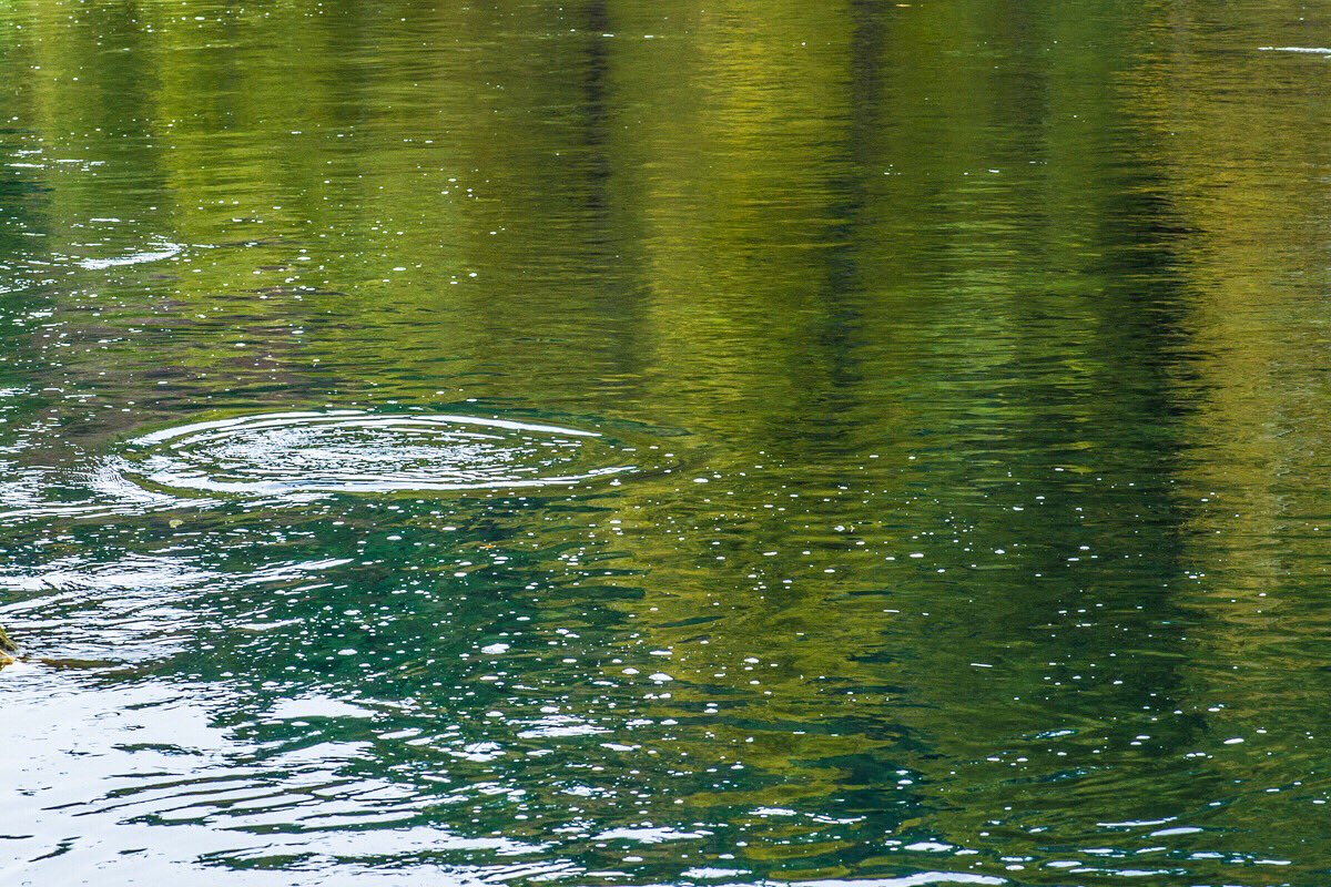 Calm water risers. Subtle signs of great times.

#dryflyfishing #risingtrout #dryfly #fall #stjoeriver #coeurdaleneriver #spokaneriver #flyfishing #clarkforkriver #silverbowflyshop