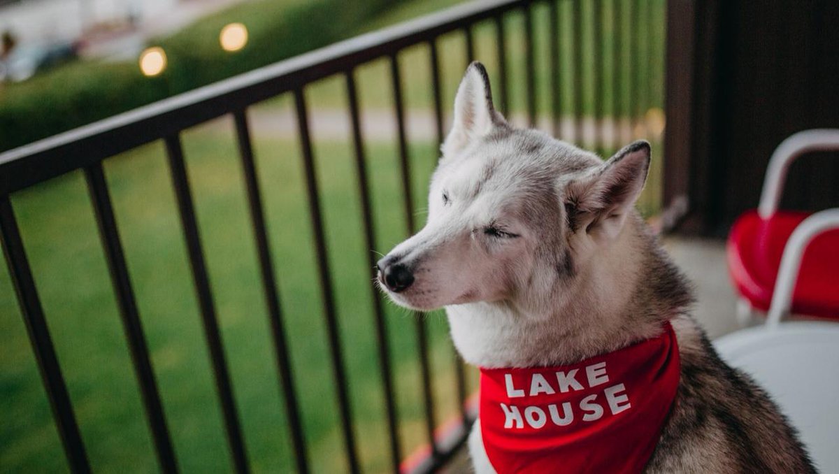 LakeHouse_LP's tweet photo. Take a moment just for yourself.
Photo Credit: kintothewild via Instagram https://t.co/XM98B3CY6U