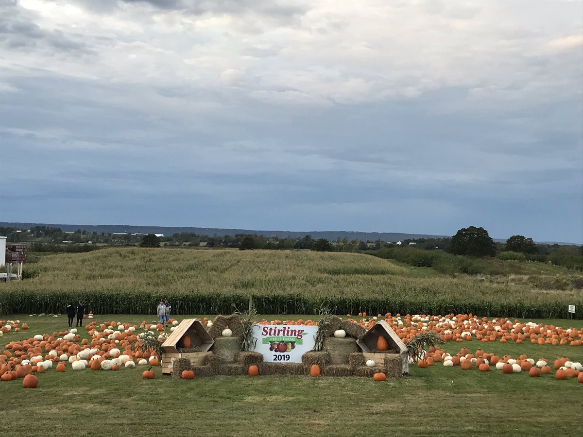 Stirlings Wolfville tweet media