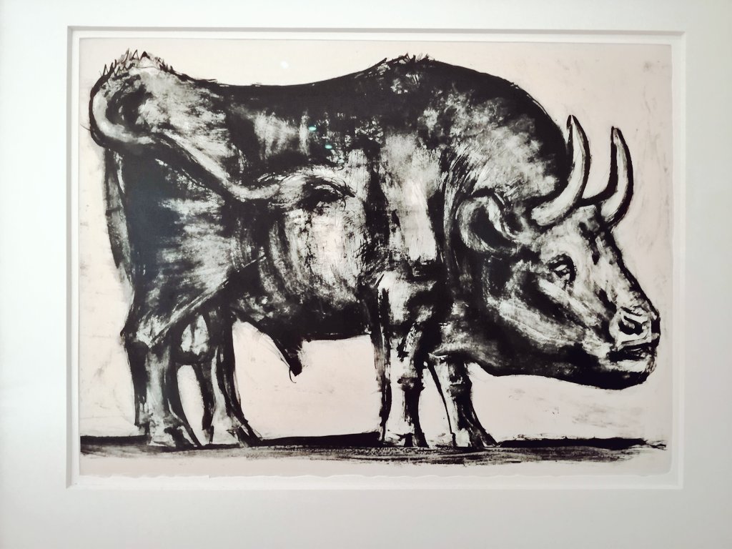 Ahora exageremos los atributos más reconocibles del toro. Hagamoslos visibles. Cuernos grandesCuello y pectoral potenteRabo largoLa pisha...y la compaña  "El toro" 2/11 (1945)  #Picasso