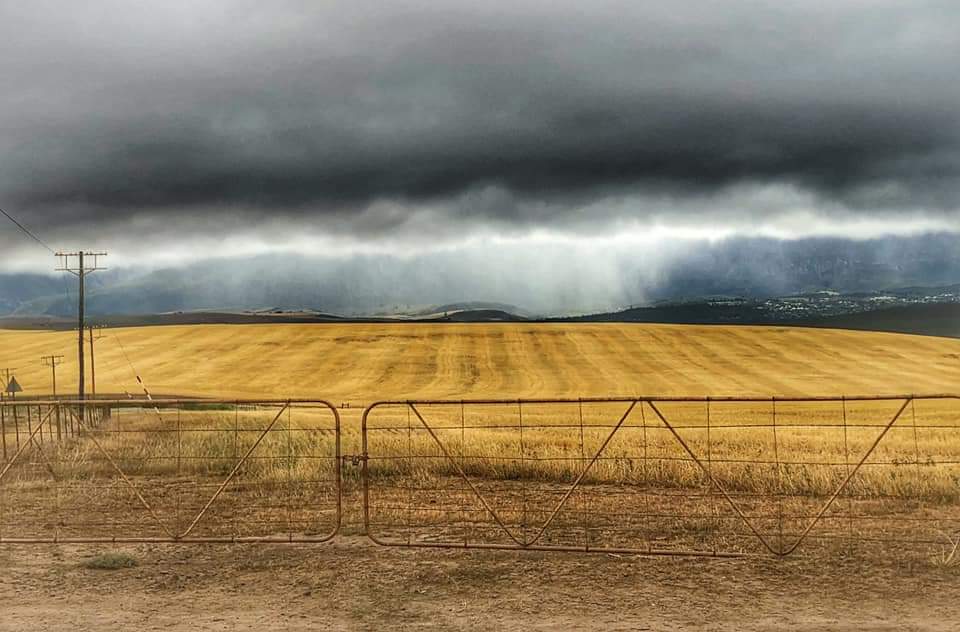 ReenvalSA's tweet photo. Dit #reën te lekker in #Swellendam. Sover al 12mm by #Malgas gehad 📸 Lelani van Tonder @SAWeatherServic @sawx_sa_weather @eNCA @eNCAWeather @venter_annette @debeer_anika @Netwerk24 @AgriWesKaap @maroelamedia @huisgenoot @zarsg @WeatherAfrican @Die_Burger https://t.co/osE50OJwlz