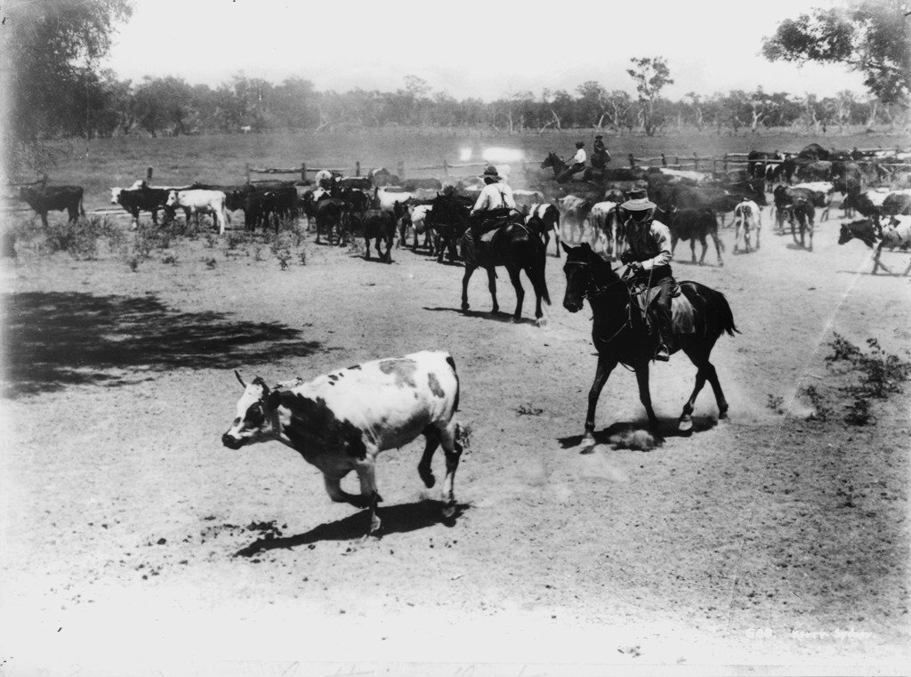 Cutting out #newoldstock