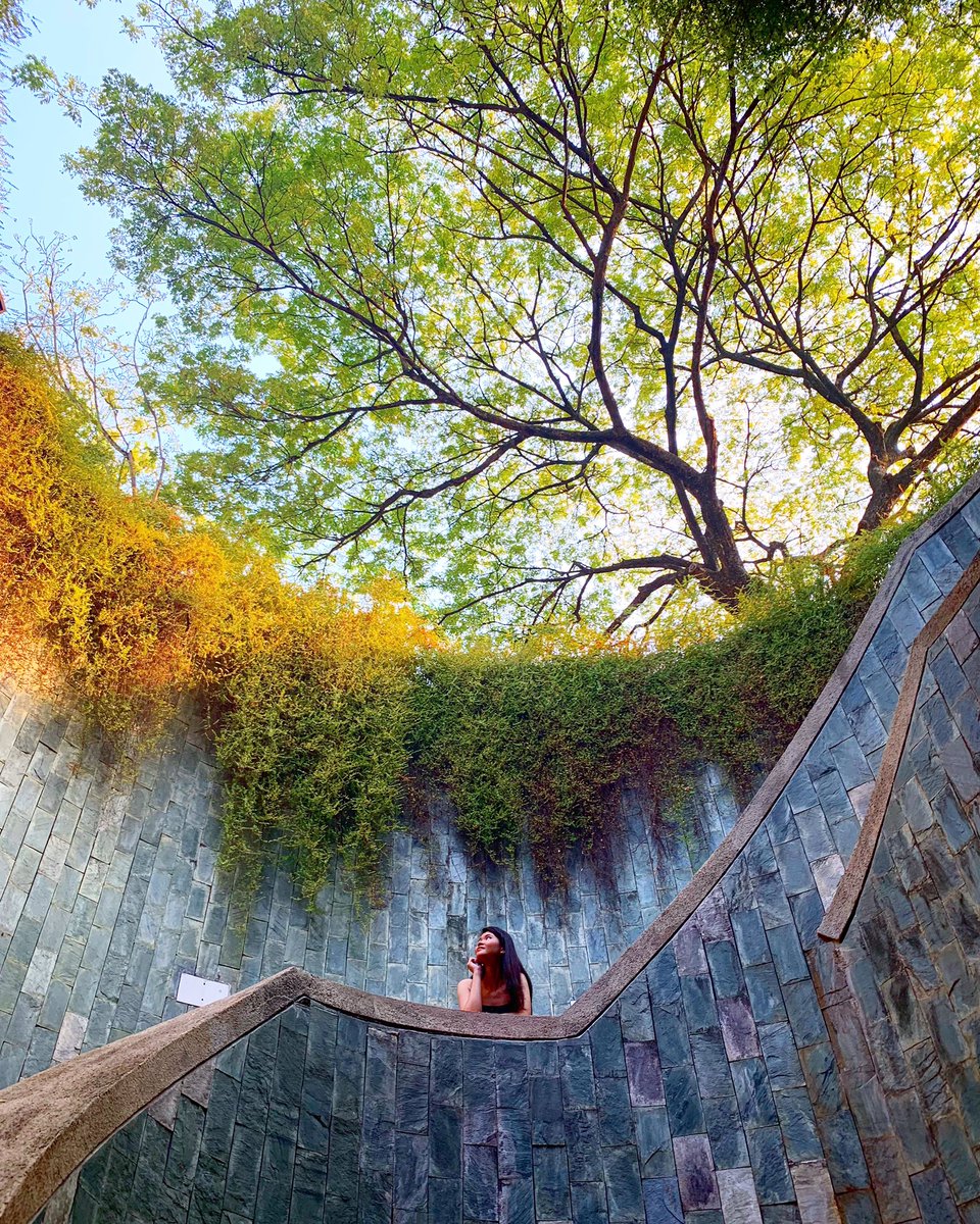 junmykau's tweet photo. Dream until my dreams come true ❤️#fortcanning #Singapore #scenery https://t.co/rKF7fD6mJ0