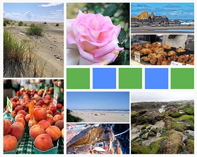 a_composition's tweet image. Early October is a wonderful time to visit the Oregon Coast. See my favorite 25-mile stretch on this week’s blog post acraftycomposition.com/the-oregon-coa…