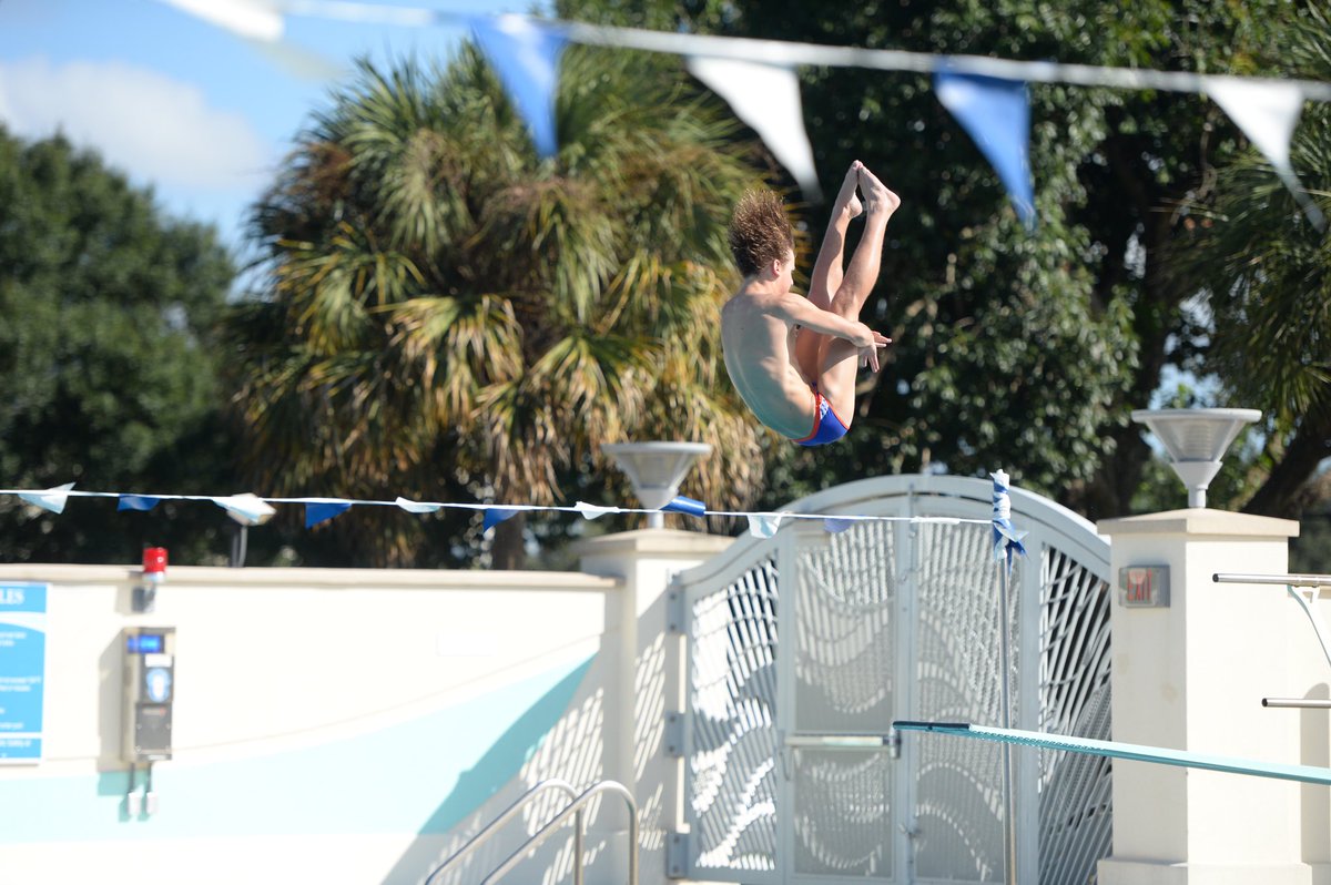 GatorsSwimDv's tweet photo. 🔙 like we never left 😎

📸: @AdlerGarfield / @Indyyyy__ https://t.co/7IOeqKtCRQ