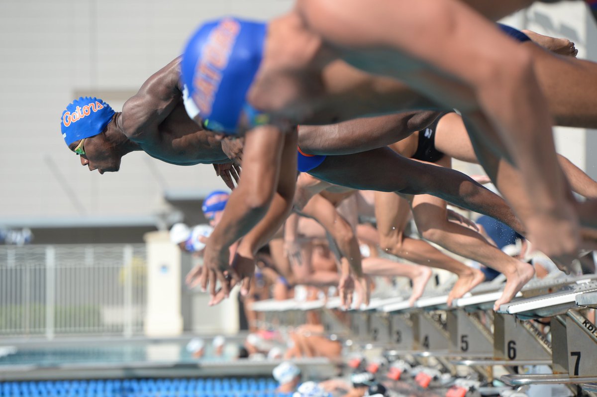 GatorsSwimDv's tweet photo. 🔙 like we never left 😎

📸: @AdlerGarfield / @Indyyyy__ https://t.co/7IOeqKtCRQ