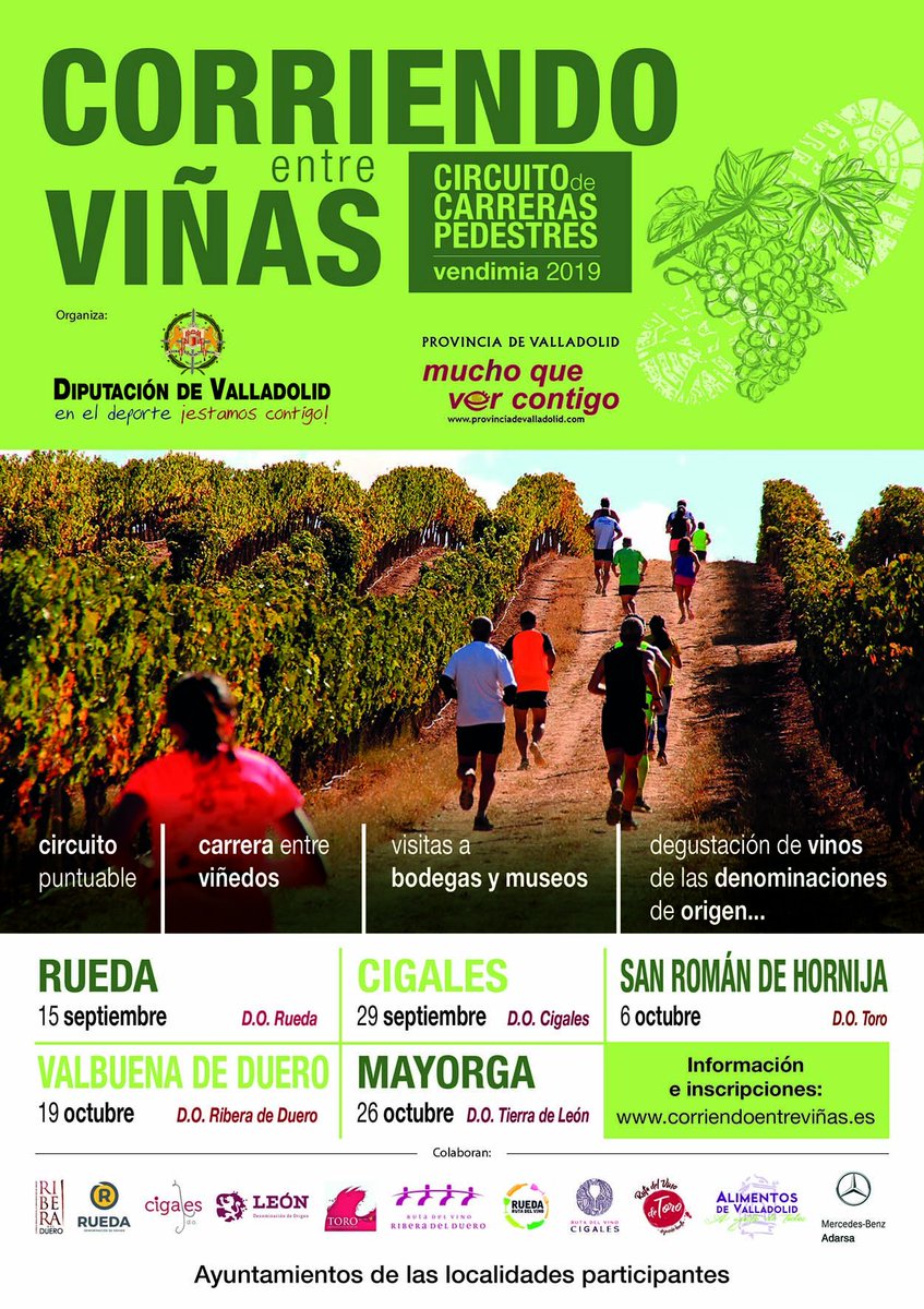catparquesol's tweet photo. 👟 CAT Parquesol en la carrera de Cigales "Corriendo entre viñas" 🏃‍♀🏃🌱🍇 https://t.co/7Y9w2zIRbE