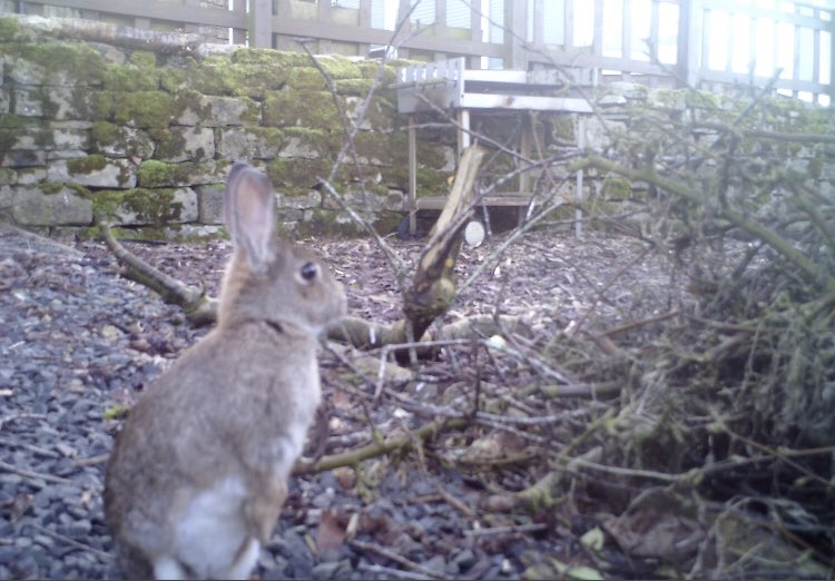 Cragknowe Cottage tweet media