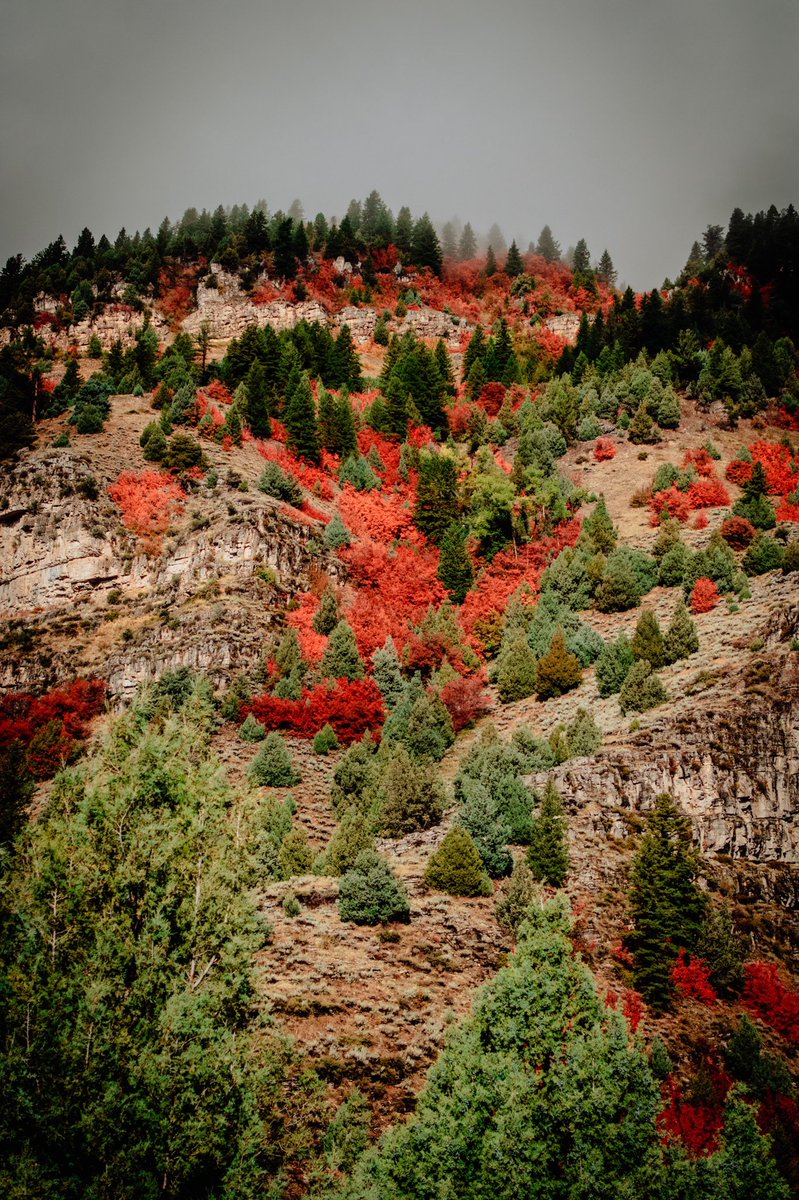 You can keep your white sandy beaches, I will keep my mountains.

Fall is here.