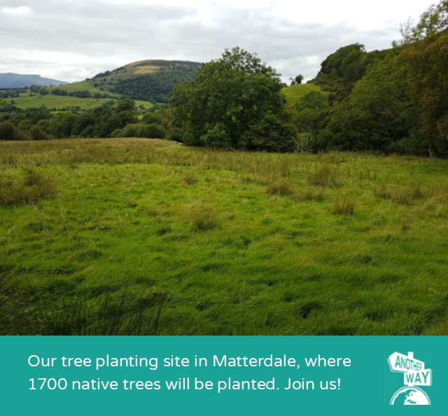 Another Way tweet media