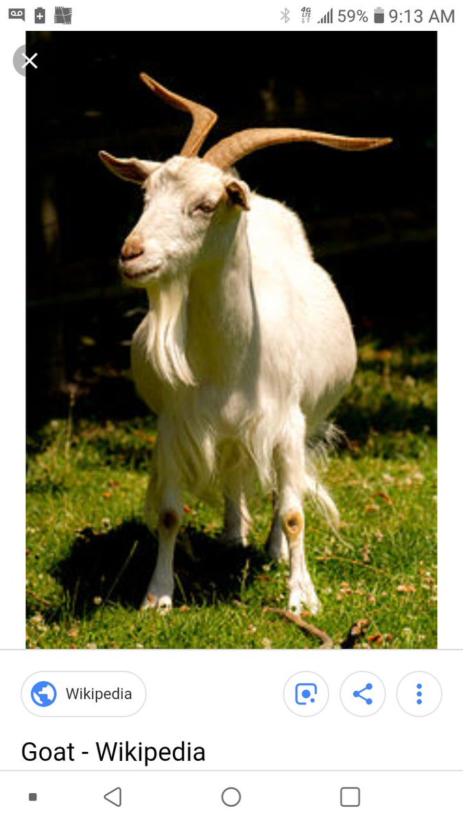 Winninman1's tweet image. #FreestyleSunday #TheGOAT
youtu.be/ktnVWxsxkLI