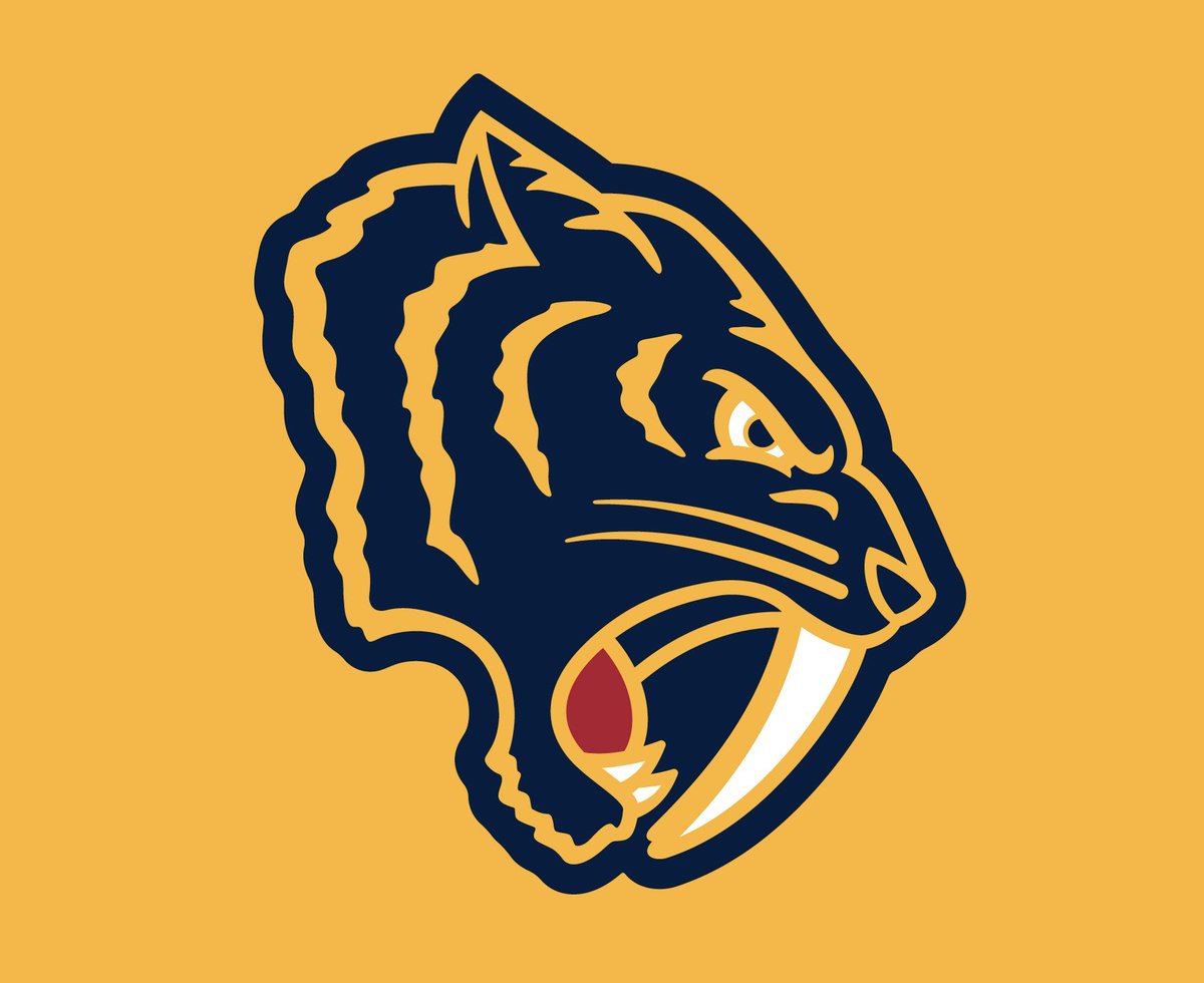 predators winter classic