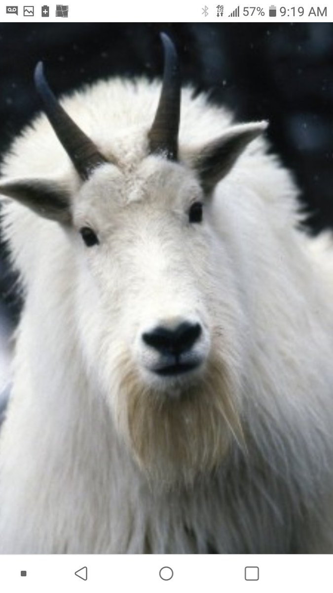 Winninman1's tweet image. #FreestyleSunday #TheGOAT
youtu.be/bosZC_rZg9c