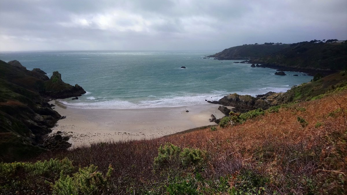 GsyRecycling's tweet photo. A bit wild out there, but a good day for litter picking on the cliff paths! All sorts of litter to be found  #coastalcleanup #Guernsey #plasticwaste #plasticpollution #nature #environment #recycle #Strike4Climate https://t.co/7sYbhjNh2i