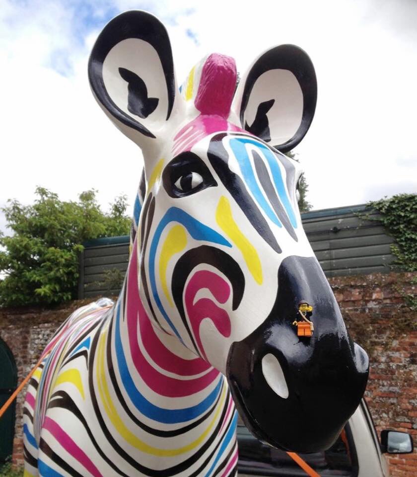 Hey @BBCCountryfile here’s a photo of me taken In the Hampshire countryside with a rather colourful zebra. I’m declaring this as a staged photo. I’d like to enter it for next years #countryfile #calendar competition. How do I go about it?