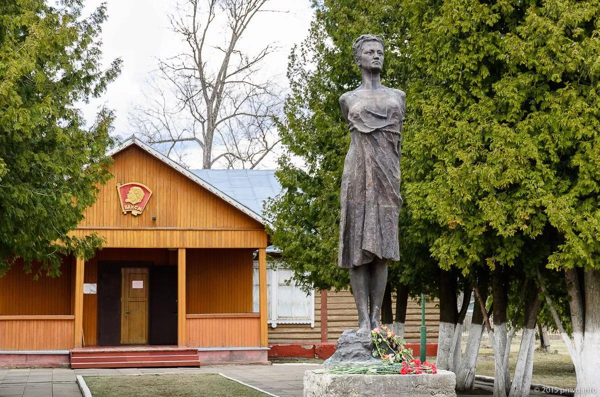 музей петрищево