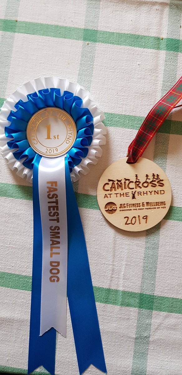 colinmcgill's tweet photo. 2nd in the two dog category, and 1st wee dugs, for Robbie and Rey at the Canicross at the Rhynd event this morning. #canicross #runningwithdogs #parsonrussellterrier #parsonpower https://t.co/jOPRkF6FSM