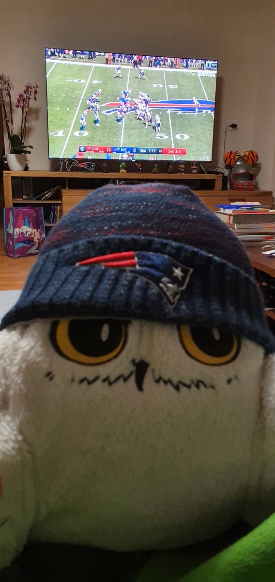 Moerderkind's tweet photo. Pats im Free-TV 😍 sogar Hedwig freut sich!
#ranNFL #ransport @Icke41 https://t.co/fz0BKNkUQH