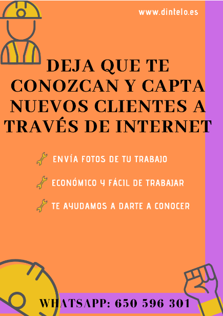 dintelo tweet media