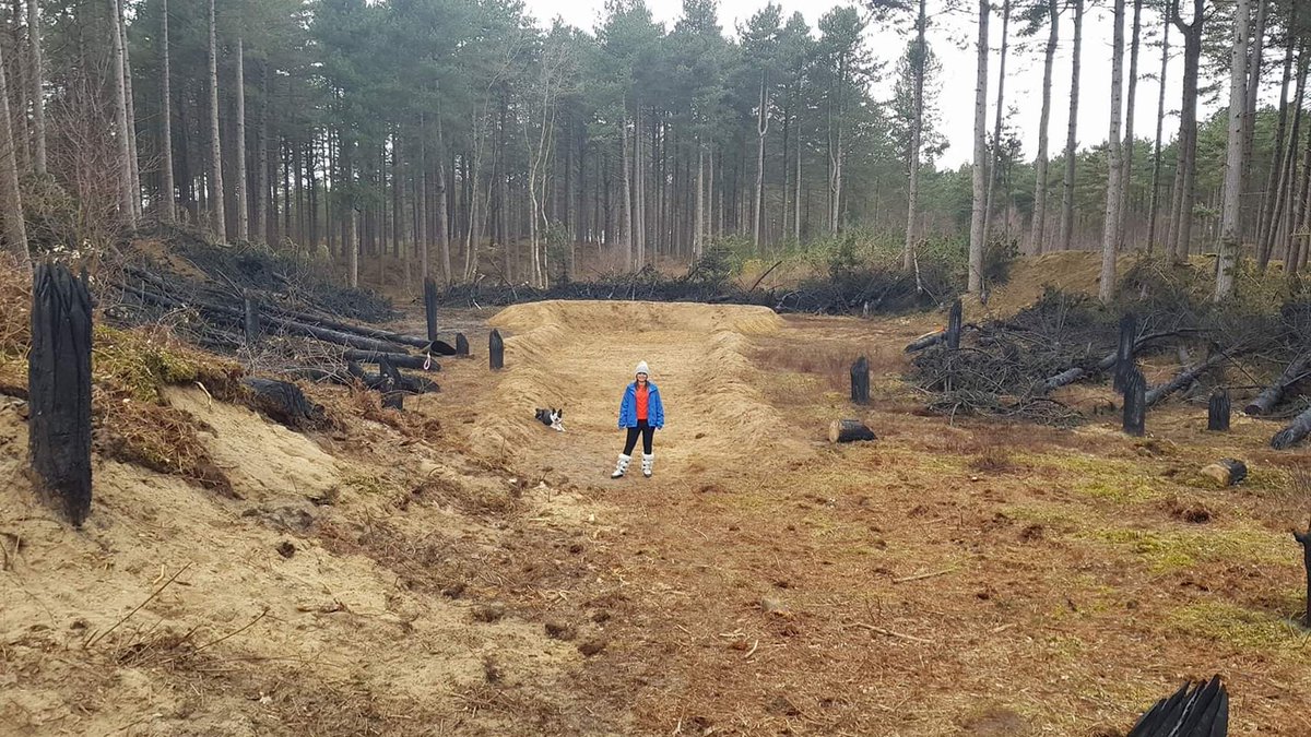 offthecouchuk's tweet photo. @BBCOne @mammothscreen The wait is over - How Exciting! Filmed in our very own #AinsdalePinewoods https://t.co/Z87MpCzSAg