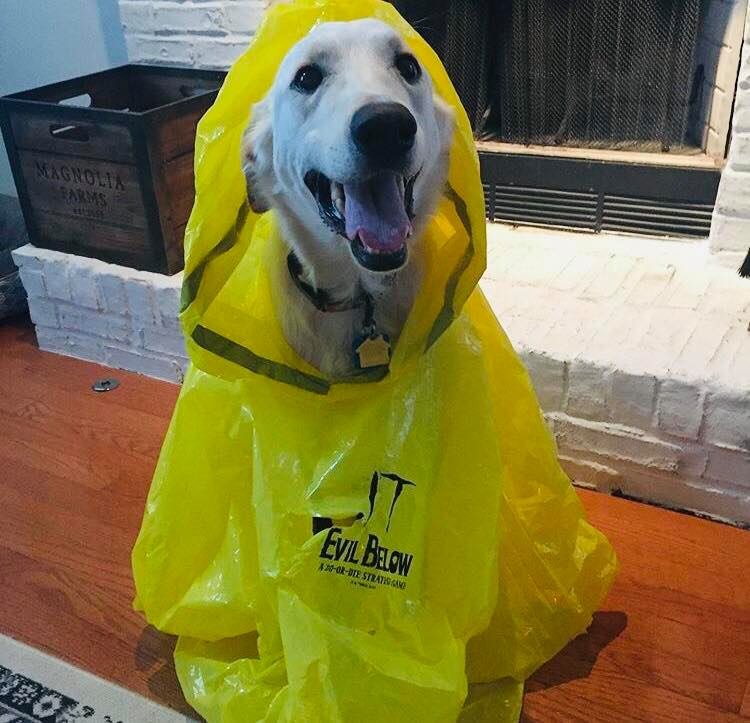 TheOpGames's tweet photo. "Hiya, Georgie!" Would you like a...TREAT?!" 🎈🐾
IT: Evil Below 👉 https://t.co/G4rPMSr4sC
(📸 thebeardeddirewolf via #Instagram) 

#ITEvilBelow #boardgames #ITChapterTwo #Pennywise #Georgie #Halloweencostume #tabletopgames https://t.co/AUfQ4j0h1R
