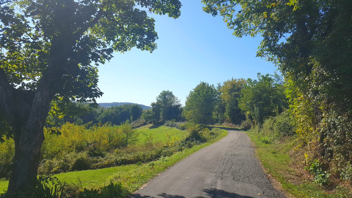 allaricercablog's tweet photo. Finalmente sul Sentiero dei Ducati, oggi un sentiero fruibile di 108 km in una natura intatta due passi da Reggio Emilia, e a breve un progetto di valorizzazione diffusa a 360 gradi del territorio reggiano.
#AITBItaca #FestivalItaca https://t.co/Df6bTebgZl