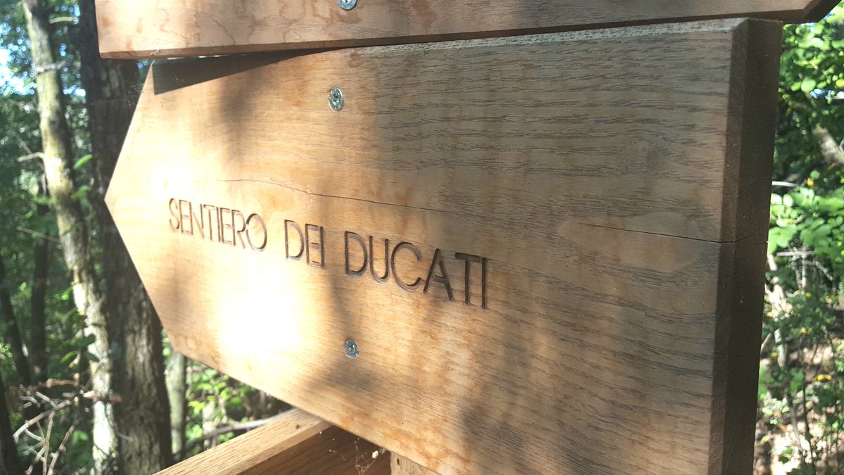 allaricercablog's tweet photo. Finalmente sul Sentiero dei Ducati, oggi un sentiero fruibile di 108 km in una natura intatta due passi da Reggio Emilia, e a breve un progetto di valorizzazione diffusa a 360 gradi del territorio reggiano.
#AITBItaca #FestivalItaca https://t.co/Df6bTebgZl