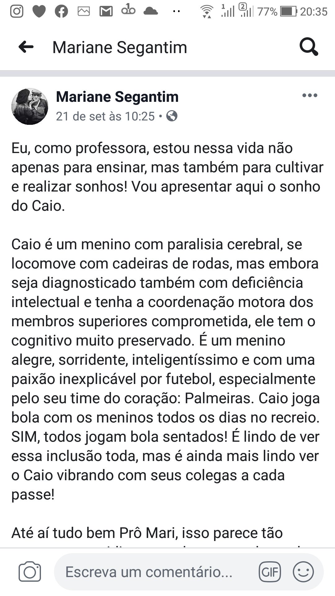 Os Palmeiristas on X: @PE_Lira @pomerense É do Palmeiras mano