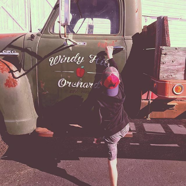 scottdkyle's tweet photo. Our annual fall workday picking apples at @windyhillorchard_east #familyoutting #applepicking https://t.co/PWJJZ41NOi https://t.co/4q2zvUWqvd