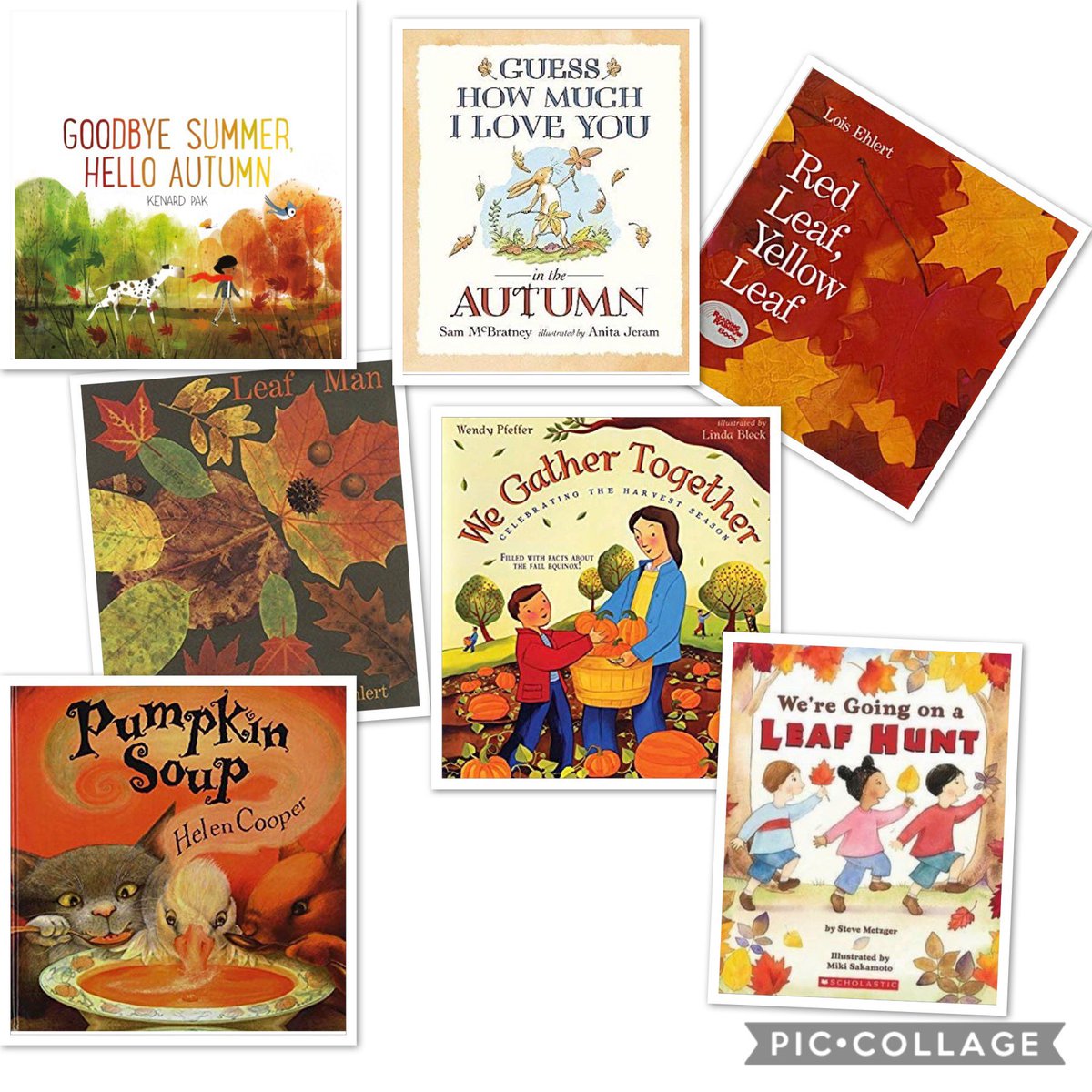 JCEnglishHub's tweet photo. As Autumn is well &amp; truly here, it’s time to stock up @JCAWakefield on some magical autumn picture stories #Autumn #ThemedBooks @booksfortopics @_Reading_Rocks_ https://t.co/UCut9vYJP6