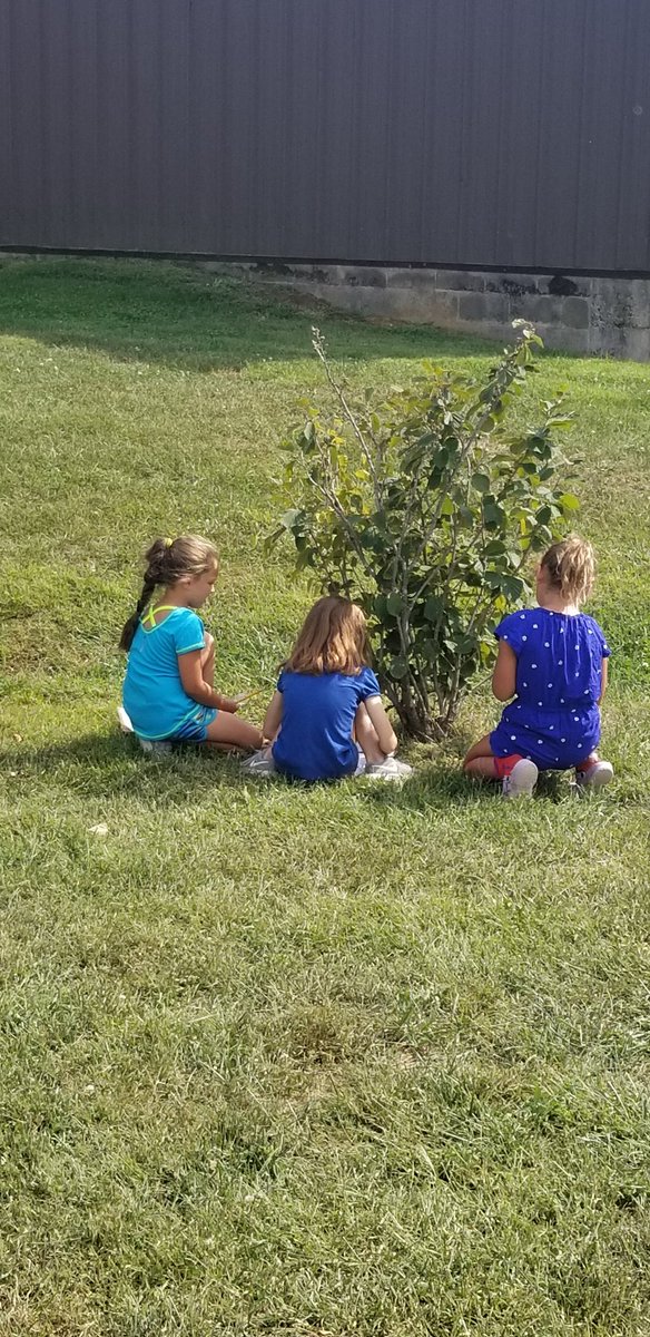 Practicing scientific observation with a hand lens and our senses. <a href="/CESGoPanthers/">CESGoPanthers</a> <a href="/MTinsman_edu/">M Tinsman Principal</a>