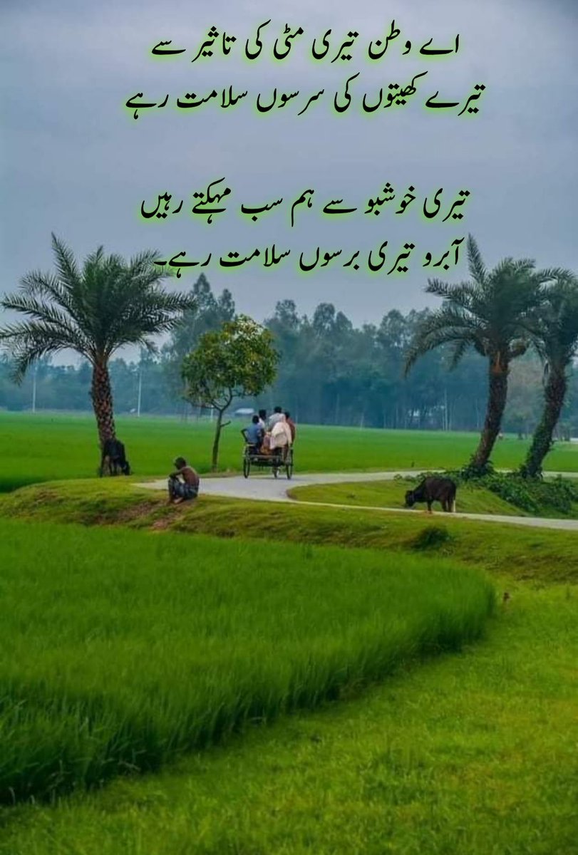 Shahzad Khan Niazi tweet media