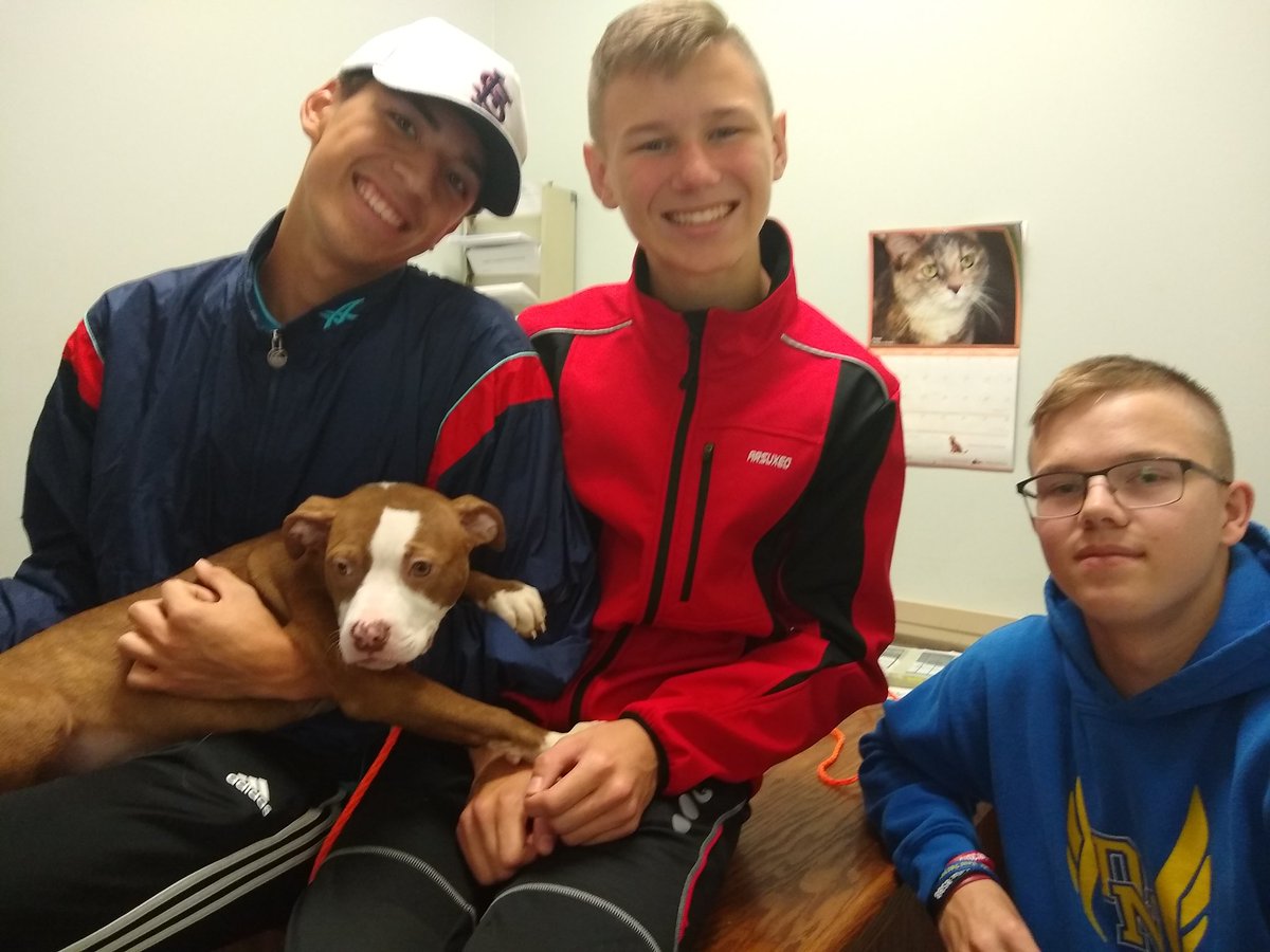 DavNorthXC's tweet photo. Second round of dog training at @SC_Humane! We will be official volunteers soon and start taking them for runs. Come adopt these puppies before they are gone!!! https://t.co/57EjF9YXsP