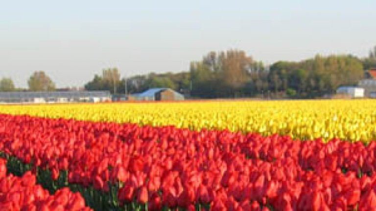 Ikwildagaanbiedingen.nl tweet media