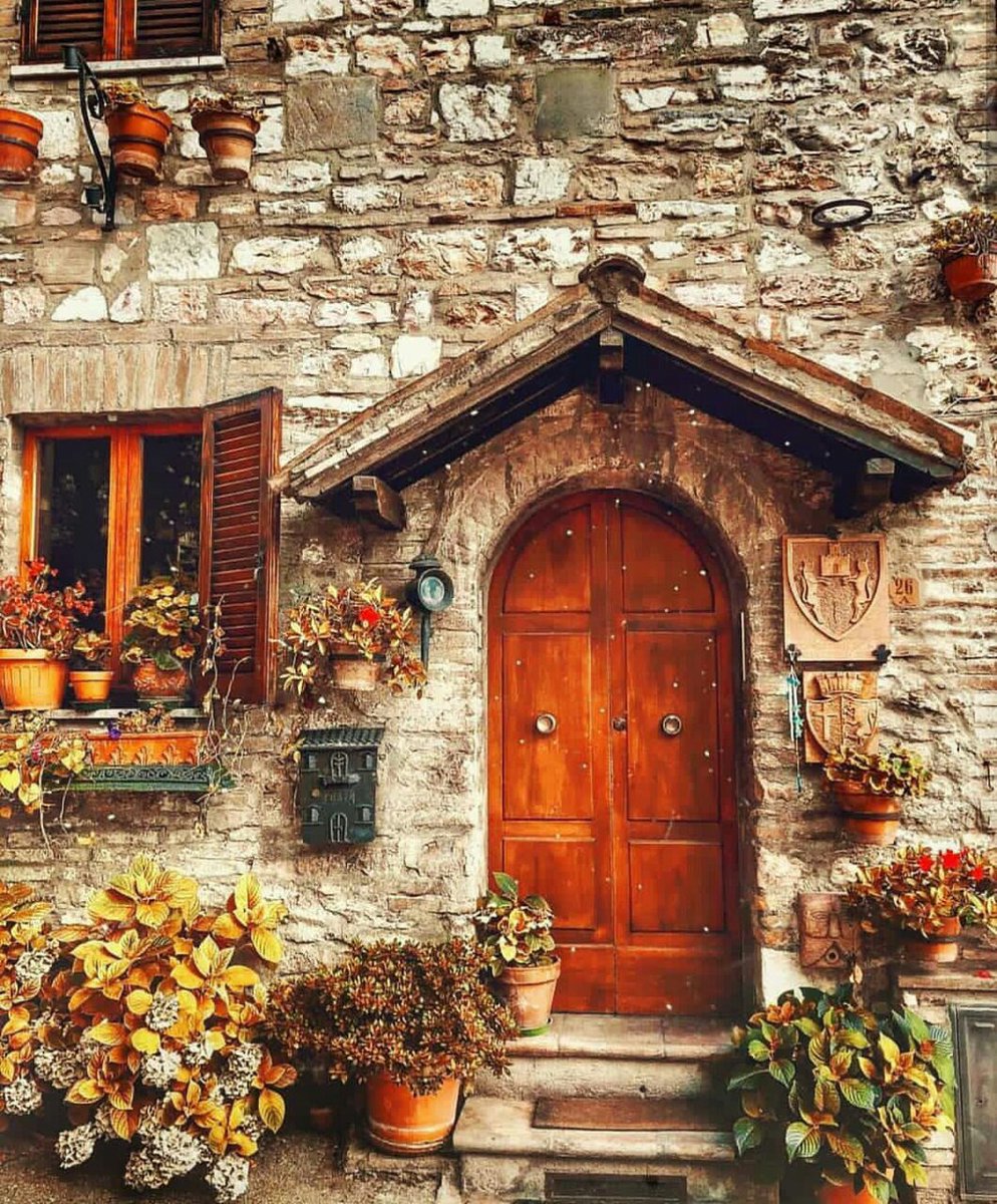 "يتجدّد الإنسان كلما مرّ بتجربة لم يكن قاصدًا

 الذهاب إليها, تظل تطحنه أيامها حتى تنتزع

 منه قدرة عجيبة على المقاومة، فما زال

 يتخبّط حتى يتخطاها بالفهم لا بالقوة، بالصبر لا بالعجلة."

#زينبيه