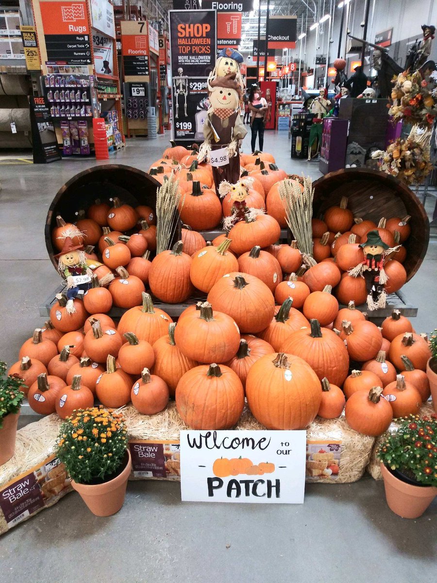 Kimberly Hunter tweet media