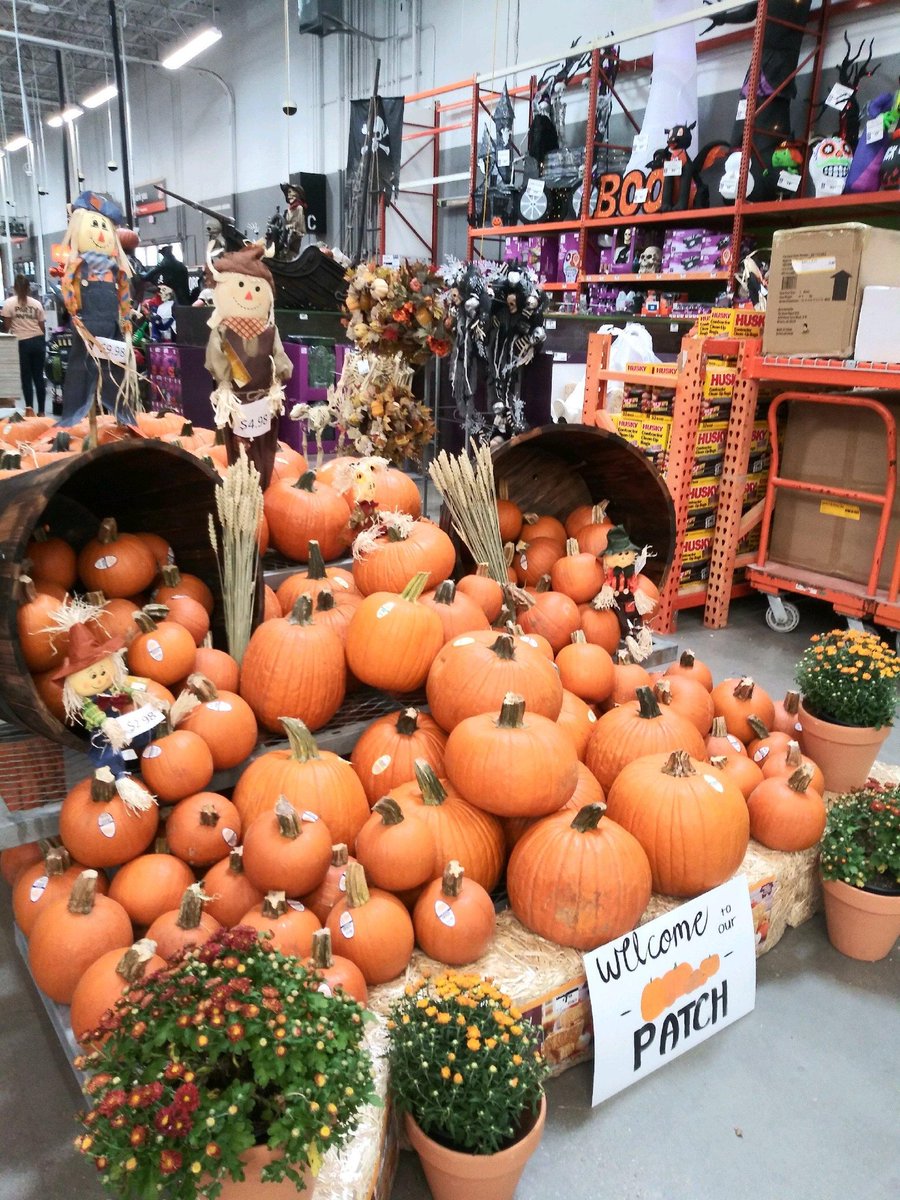 Kimberly Hunter tweet media